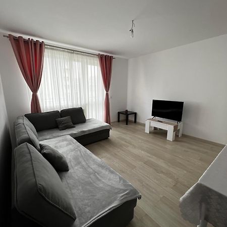 בראשוב Tractoru Premium Studio מראה חיצוני תמונה
